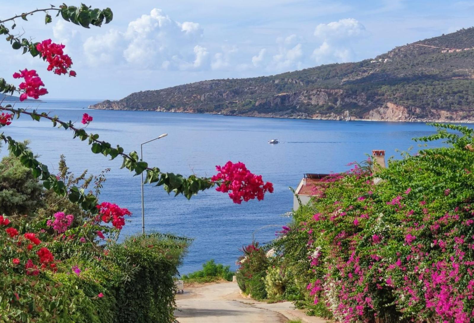 Villa Zeytin Kas Bagian luar foto